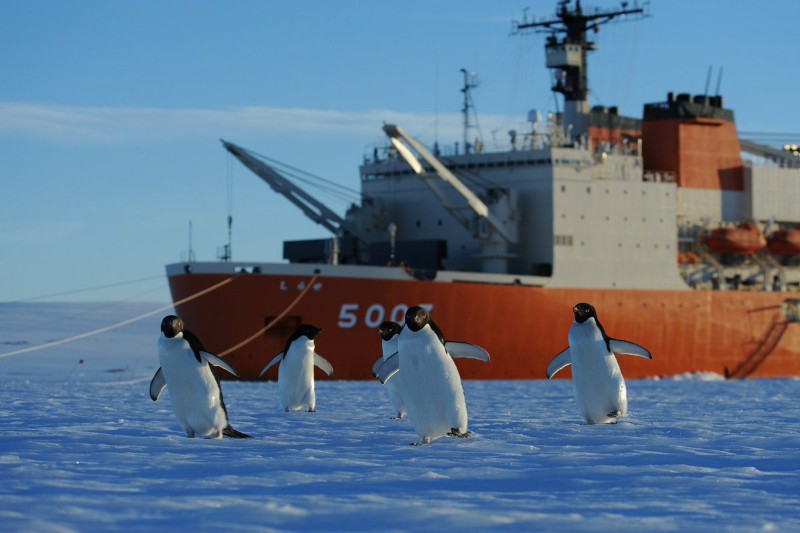 海上自衛隊 南極観測隊 しらせ ペンギン