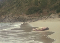 浜辺に漂流したキャロリーヌ