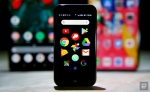 palm-review-1_.jpg